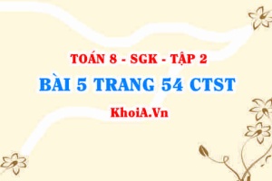 Bài 5 trang 54 Toán 8 Chân trời sáng tạo Tập 2